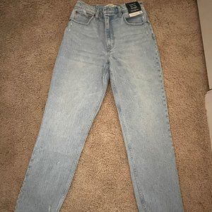 Abercrombie & Fitch Curve Love 90's Ultra High Rise Straight Jean